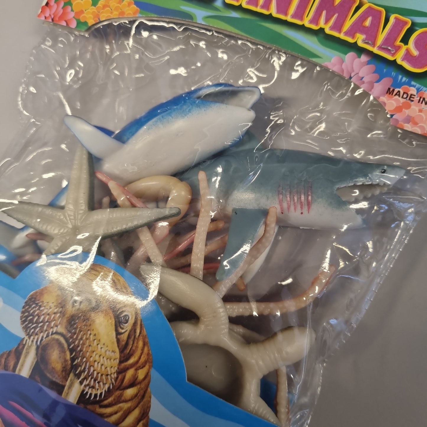 Ocean animals