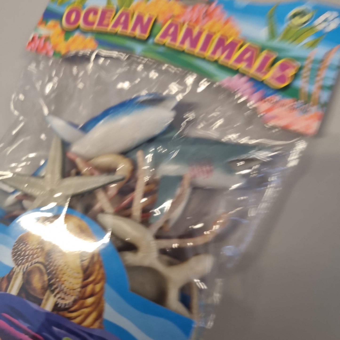 Ocean animals